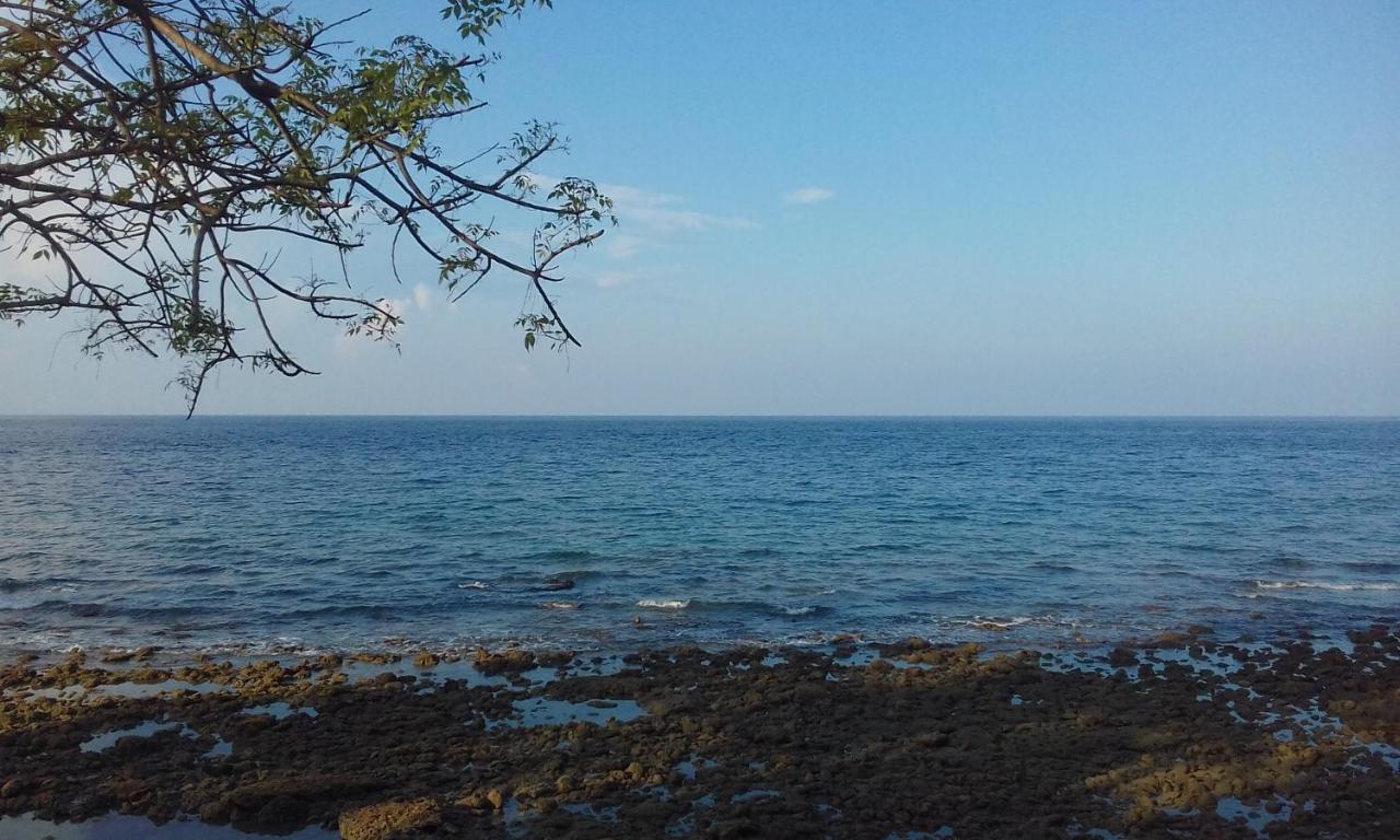 Aal Homestay 사방 외부 사진